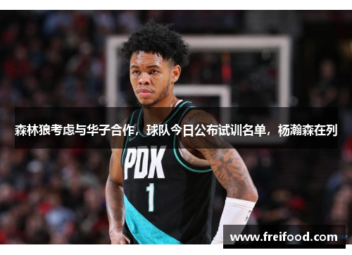 森林狼考虑与华子合作，球队今日公布试训名单，杨瀚森在列